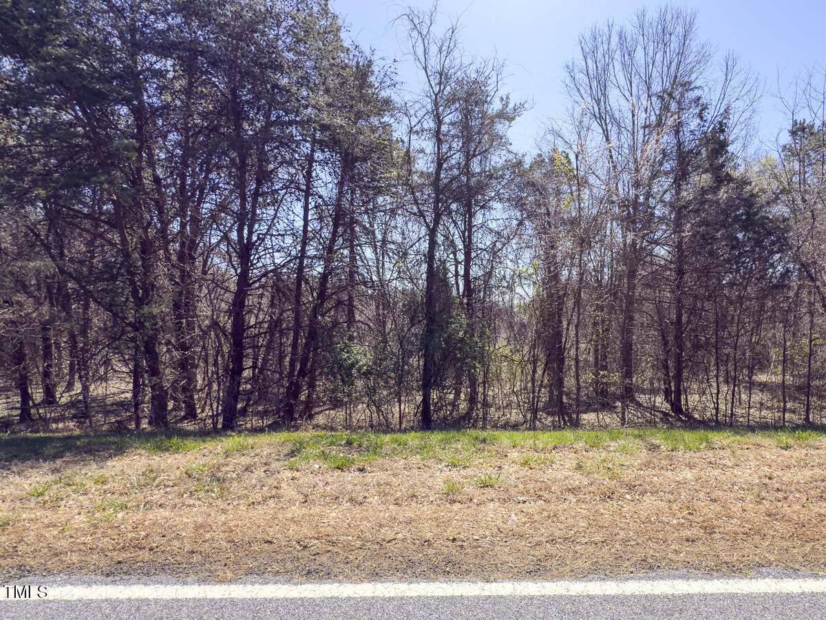 Lot 4 Goodman Road Pelham, NC 27311 - Photo 11 of 30 Caswell Co. NC 4.50-Skyview-Lot 4-11