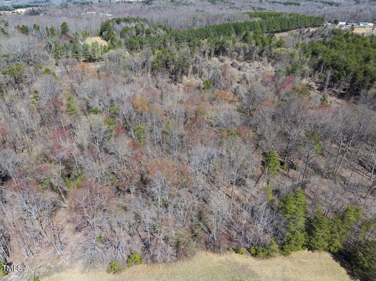 Lot 4 Goodman Road Pelham, NC 27311 - Photo 13 of 30 Caswell Co. NC 4.50-Skyview-Lot 4-13