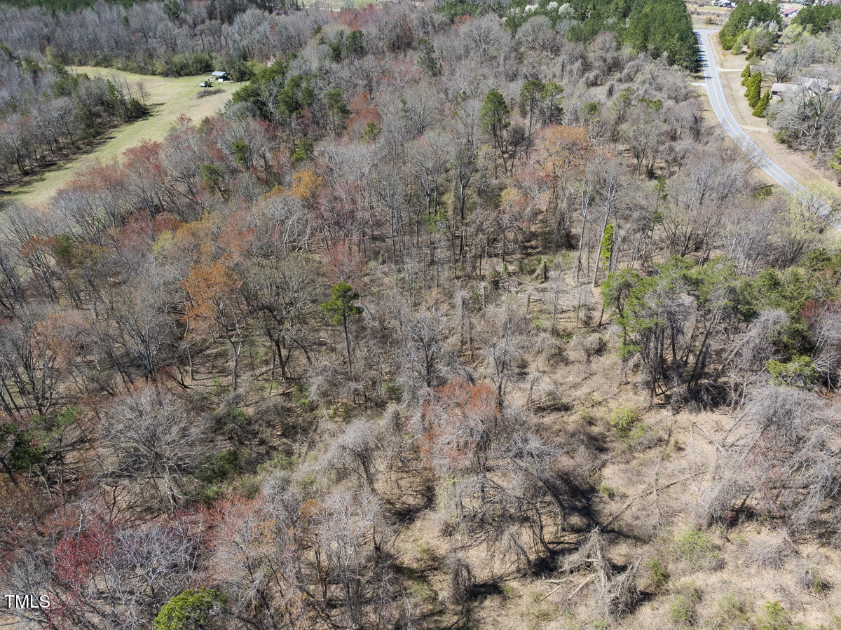 Lot 4 Goodman Road Pelham, NC 27311 - Photo 16 of 30 Caswell Co. NC 4.50-Skyview-Lot 4-16