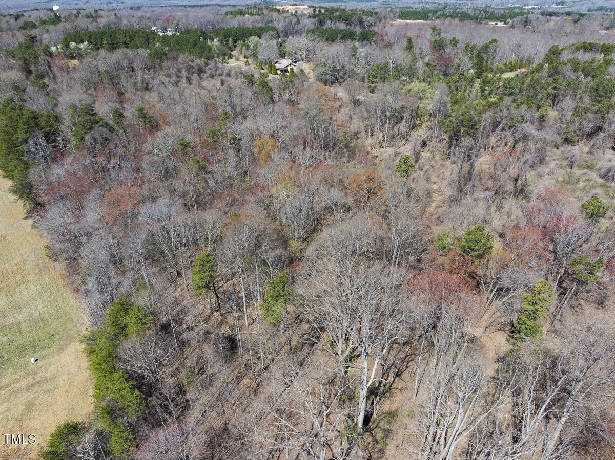 Lot 4 Goodman Road Pelham, NC 27311 - Photo 19 of 30 Caswell Co. NC 4.50-Skyview-Lot 4-19