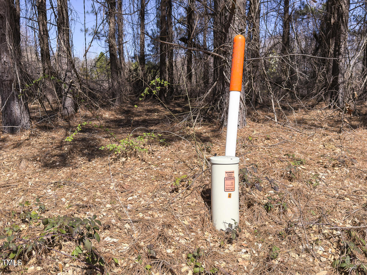Lot 4 Goodman Road Pelham, NC 27311 - Photo 21 of 30 Caswell Co. NC 4.50-Skyview-Lot 4-21
