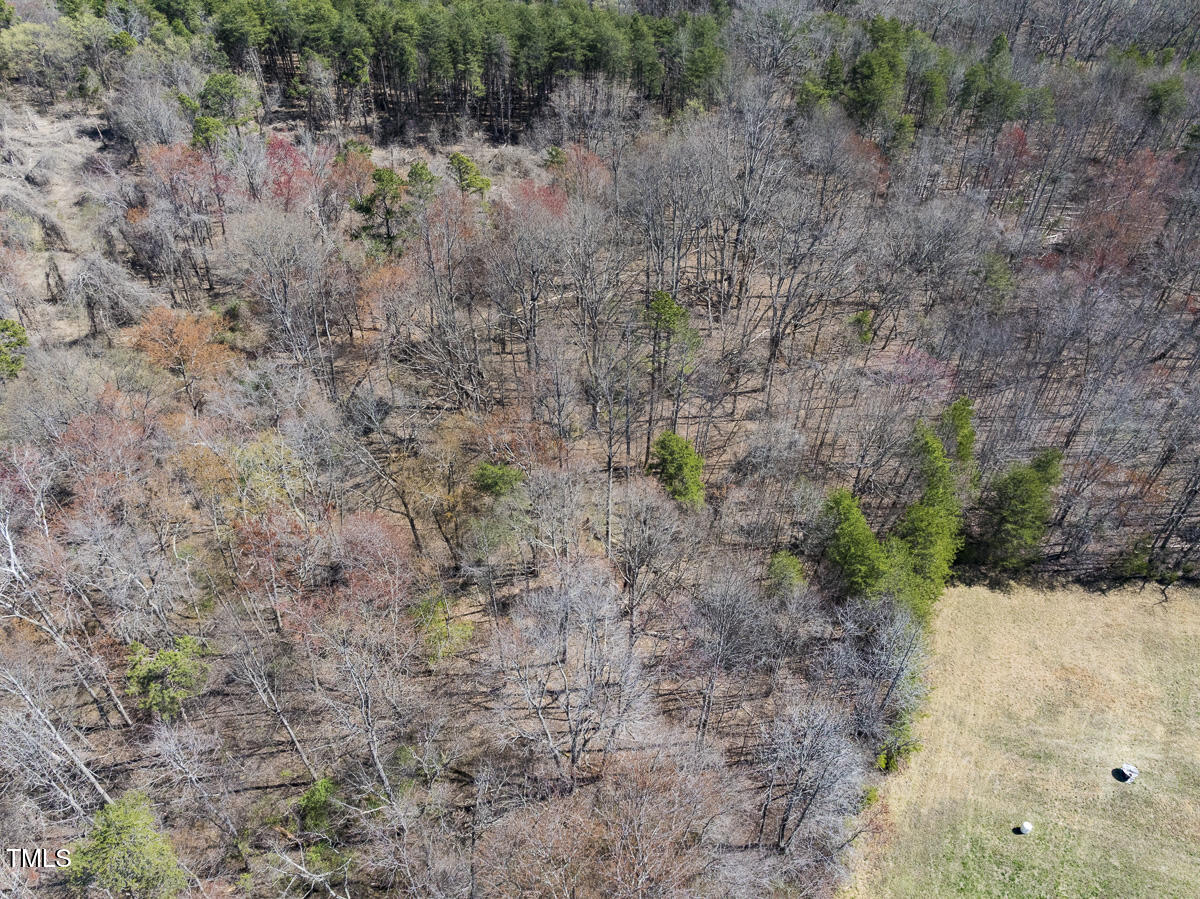 Lot 4 Goodman Road Pelham, NC 27311 - Photo 24 of 30 Caswell Co. NC 4.50-Skyview-Lot 4-24