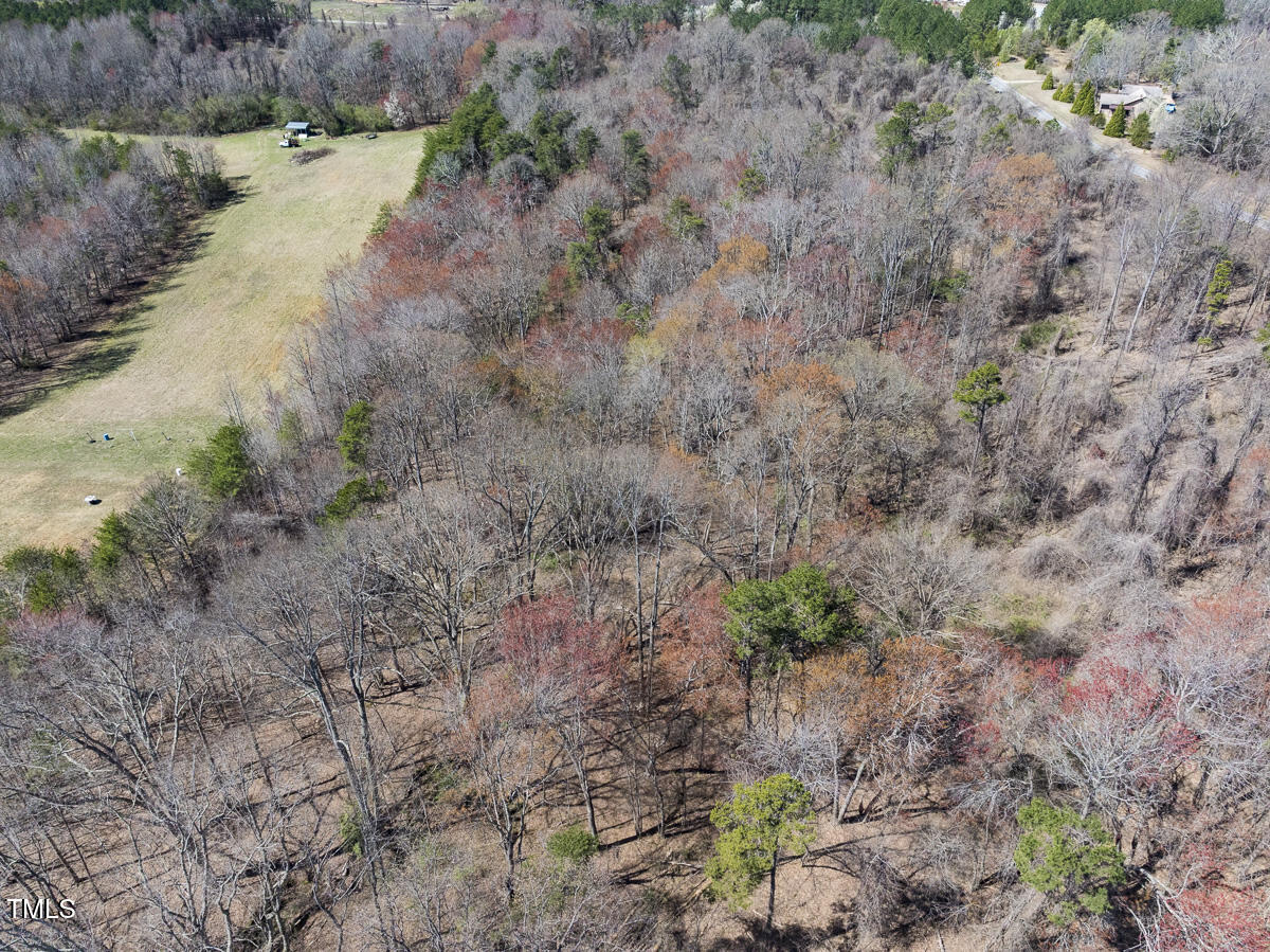 Lot 4 Goodman Road Pelham, NC 27311 - Photo 26 of 30 Caswell Co. NC 4.50-Skyview-Lot 4-26