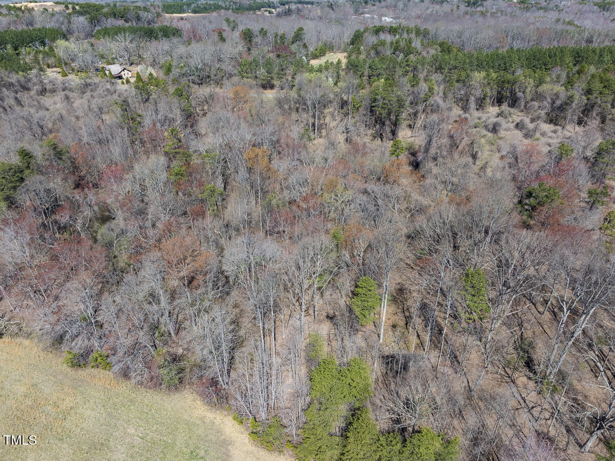 Lot 4 Goodman Road Pelham, NC 27311 - Photo 28 of 30 Caswell Co. NC 4.50-Skyview-Lot 4-28