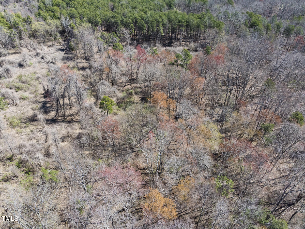 Lot 4 Goodman Road Pelham, NC 27311 - Photo 9 of 30 Caswell Co. NC 4.50-Skyview-Lot 4-09