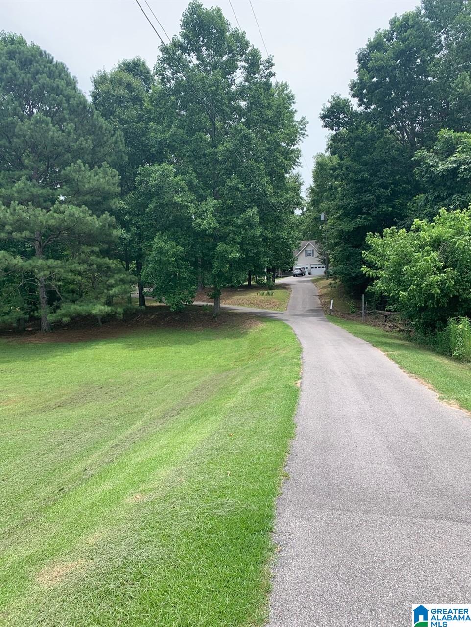 4348 Red Valley Road Remlap, AL 35133 - Photo 7 of 69