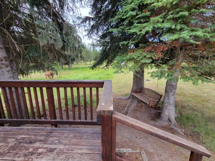 35 Atkin Lane Cascade, ID 83611 - Photo 30 of 39 Treed
