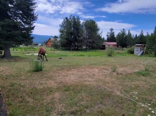 35 Atkin Lane Cascade, ID 83611 - Photo 31 of 39 Large back yard