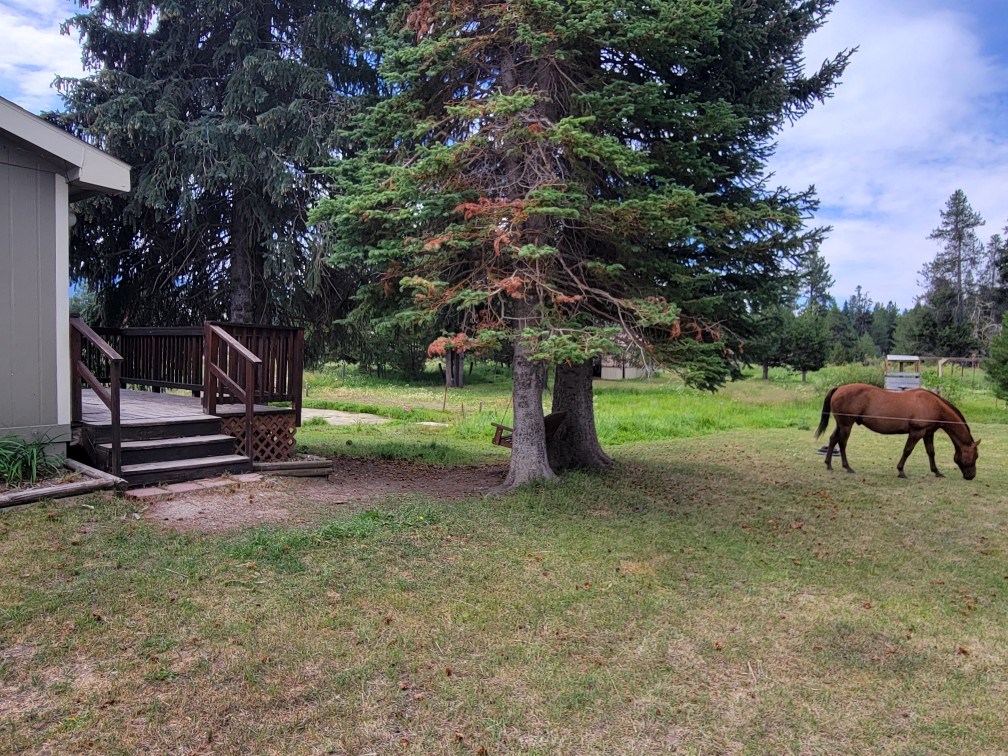 35 Atkin Lane Cascade, ID 83611 - Photo 5 of 39 Horses and chickens allowed