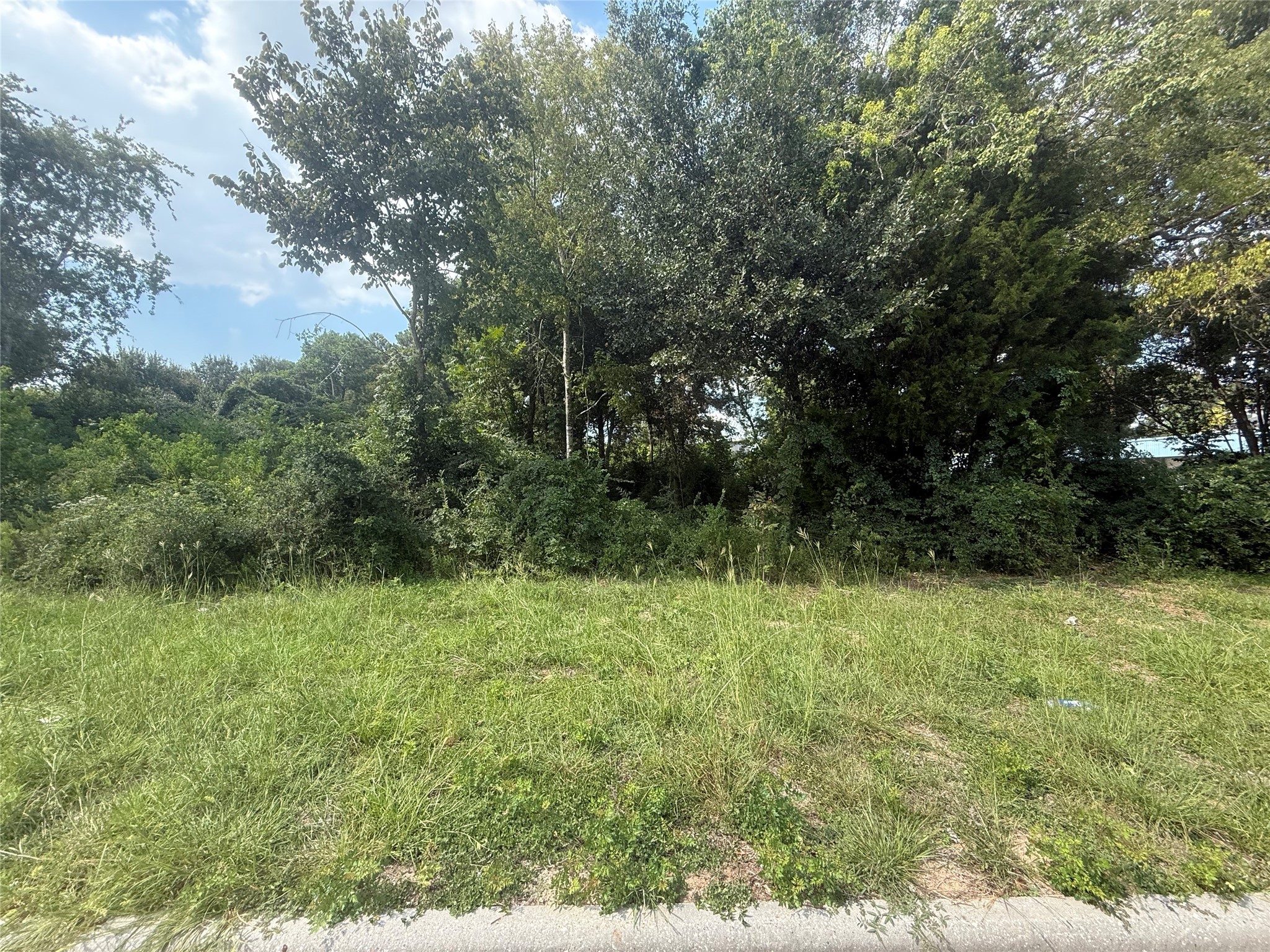 0 Mechanic Road Tomball, TX 77375 - Photo 4 of 12 a view of a garden