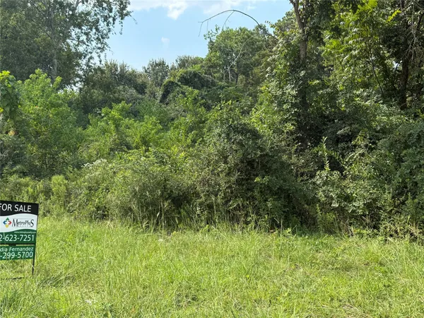 a view of a lush green space