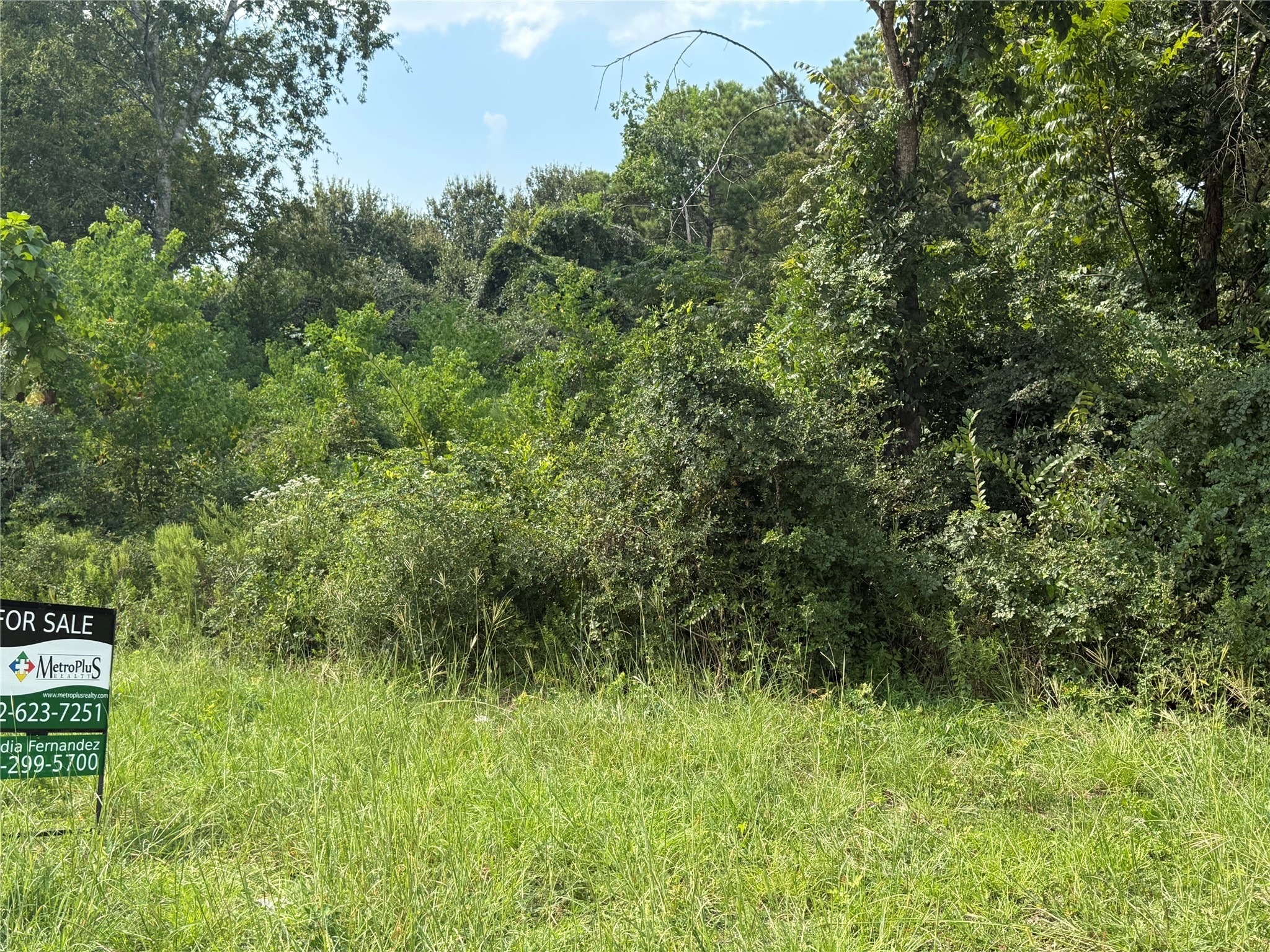 0 Mechanic Road Tomball, TX 77375 - Photo 5 of 12 a view of a lush green space