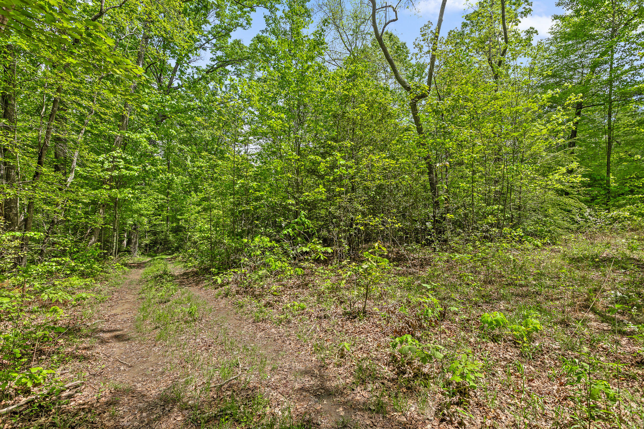 10 Acres Blaine Smith Road Graysville, TN 37338 - Photo 12 of 55 50-Blaine-10