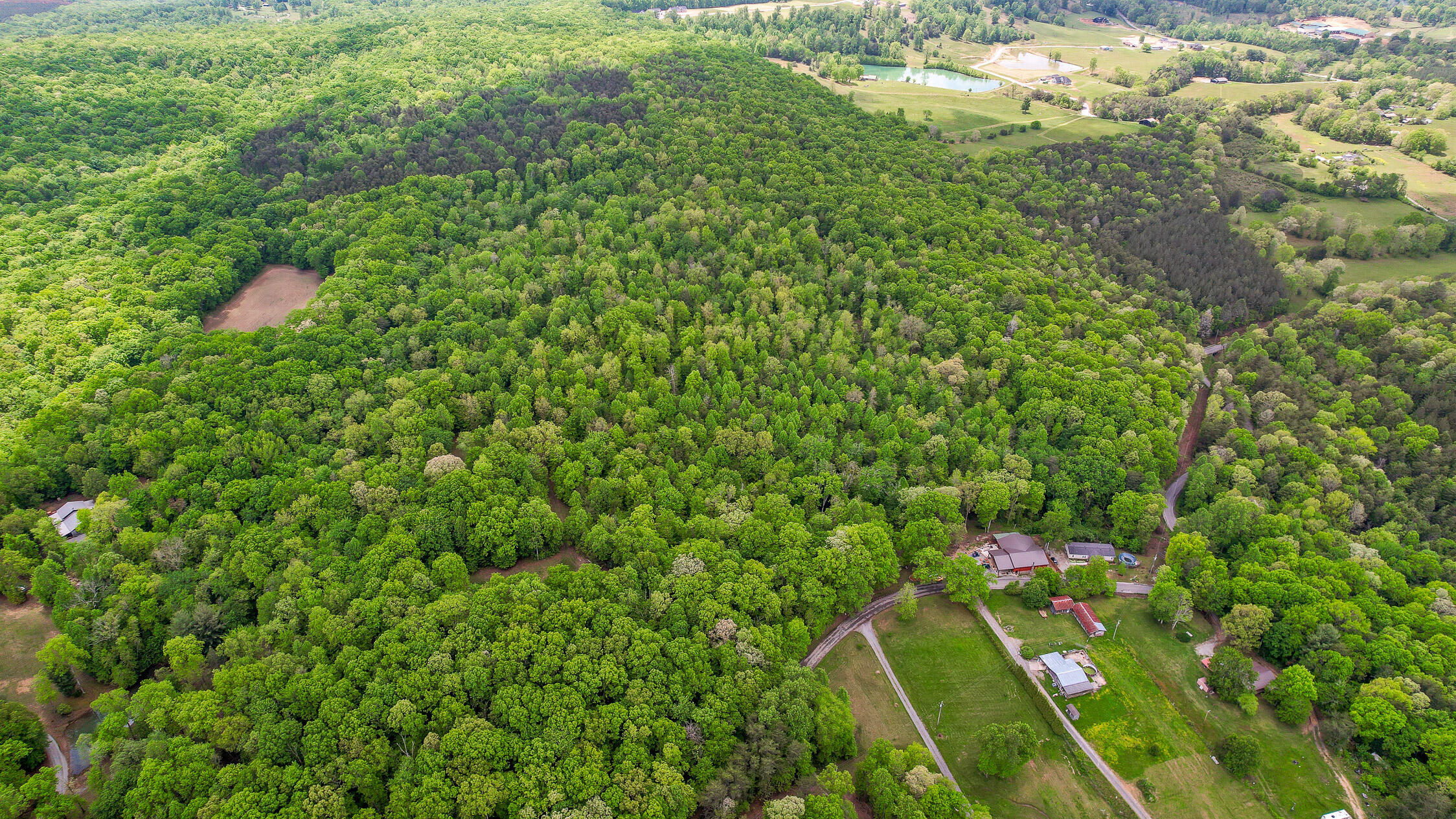 10 Acres Blaine Smith Road Graysville, TN 37338 - Photo 26 of 55 67-Blaine-27