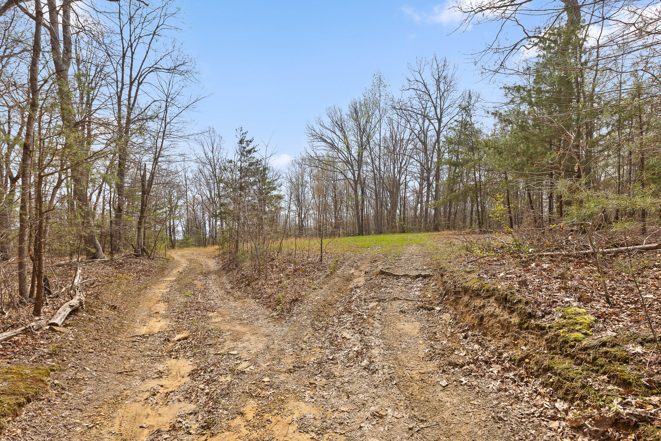 10 Acres Blaine Smith Road Graysville, TN 37338 - Photo 27 of 55 08-Blain-7