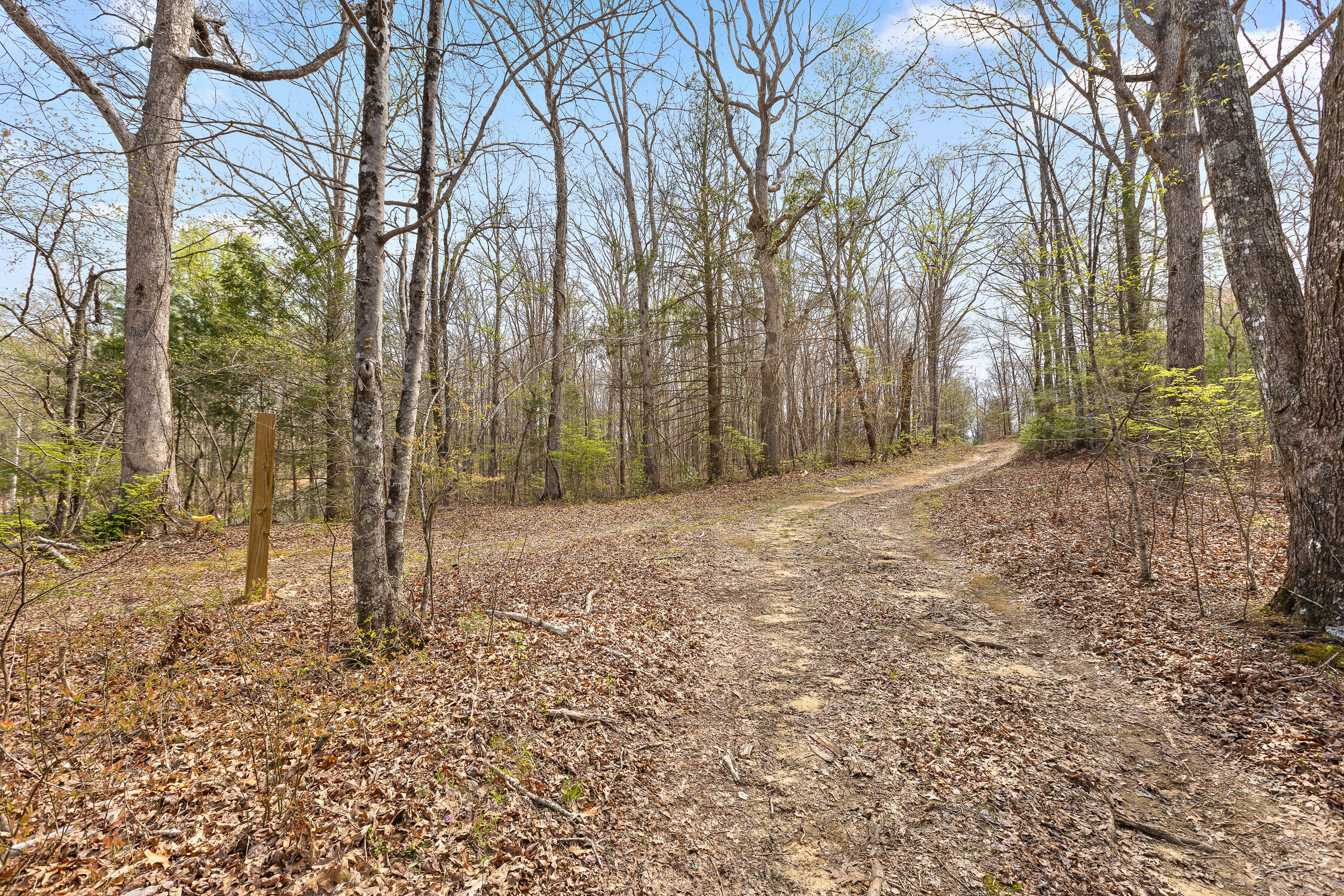 10 Acres Blaine Smith Road Graysville, TN 37338 - Photo 30 of 55 05-Blain-3