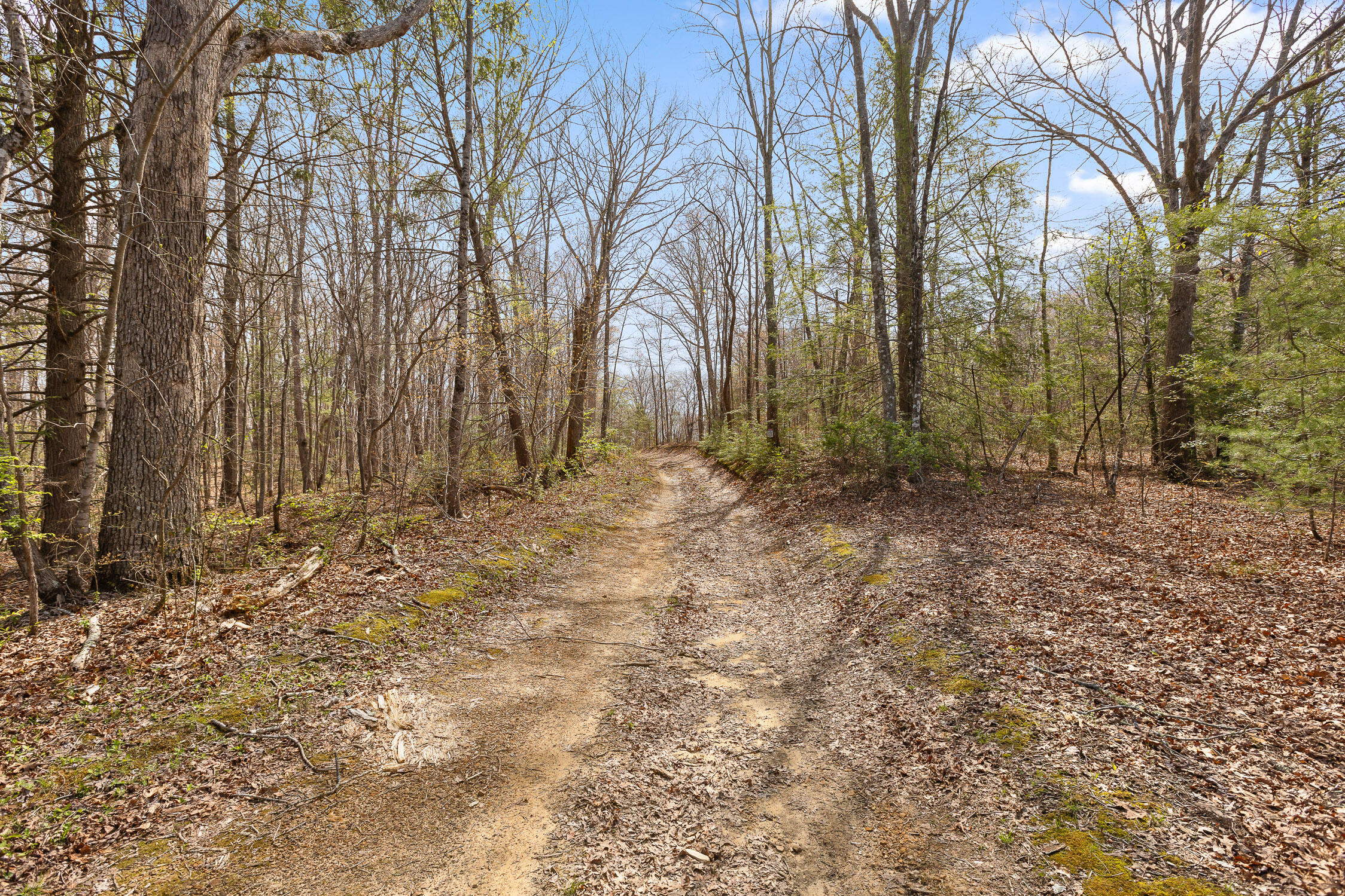 10 Acres Blaine Smith Road Graysville, TN 37338 - Photo 31 of 55 06-Blain-4