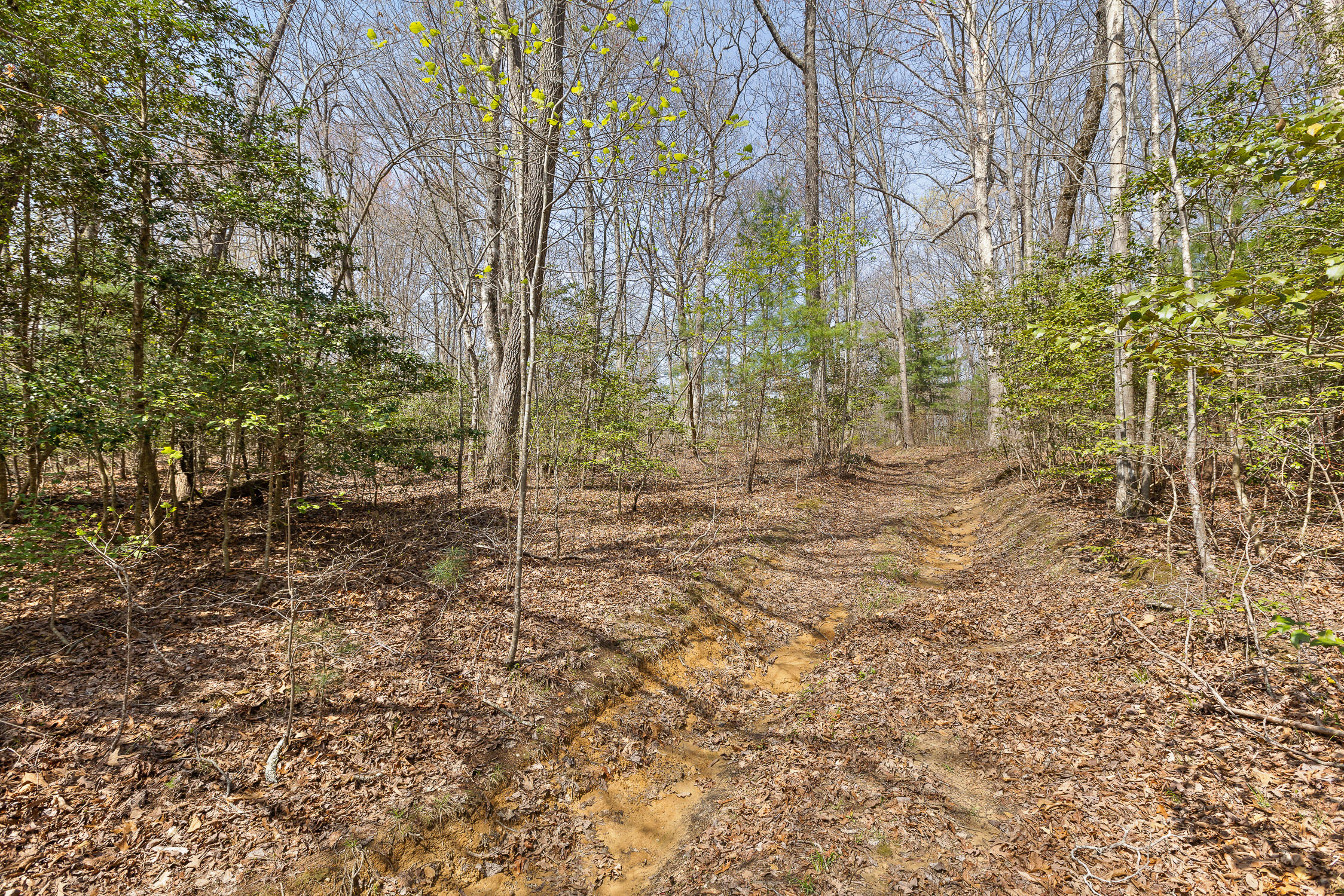 10 Acres Blaine Smith Road Graysville, TN 37338 - Photo 37 of 55 21-Blain-20