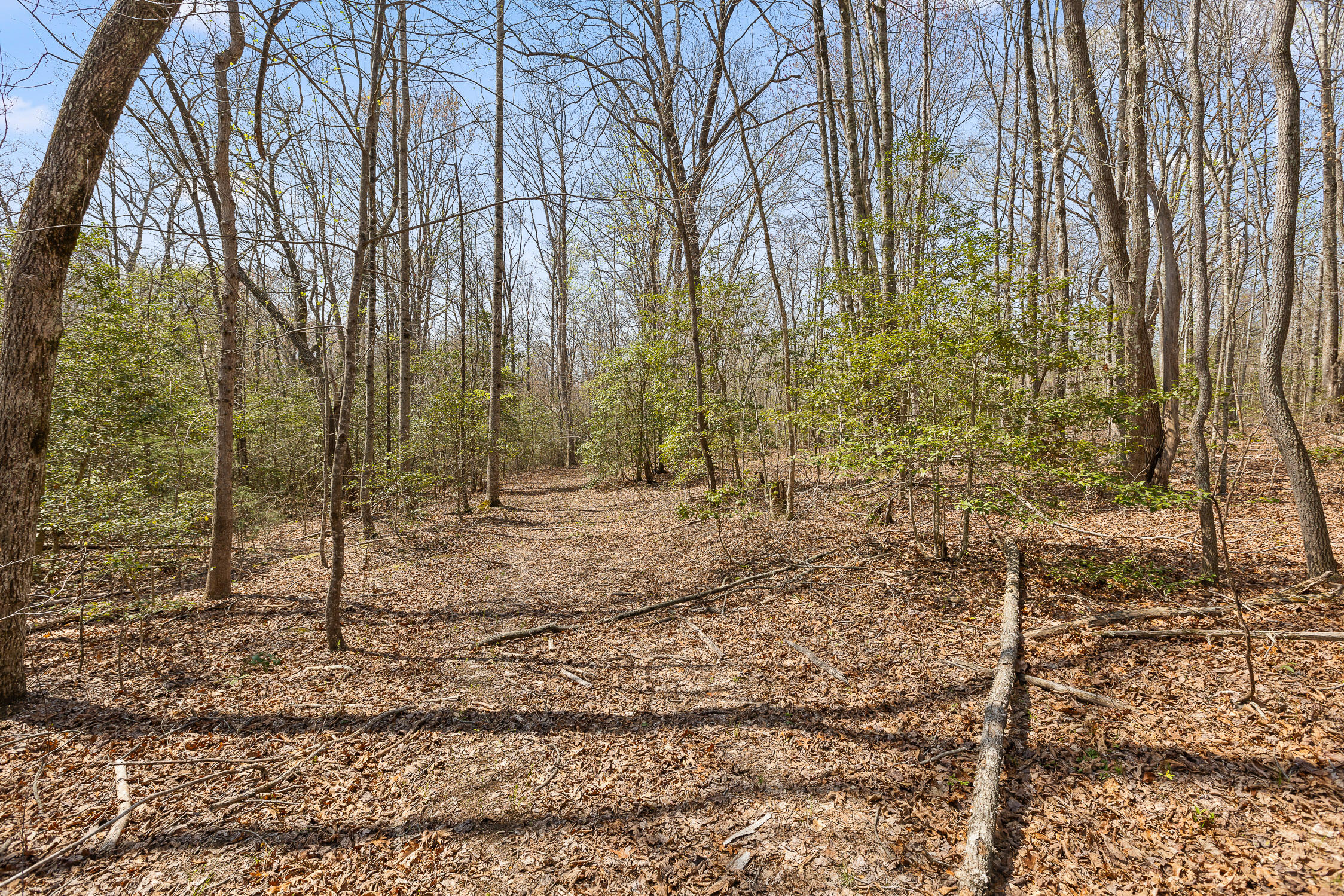 10 Acres Blaine Smith Road Graysville, TN 37338 - Photo 38 of 55 22-Blain-21