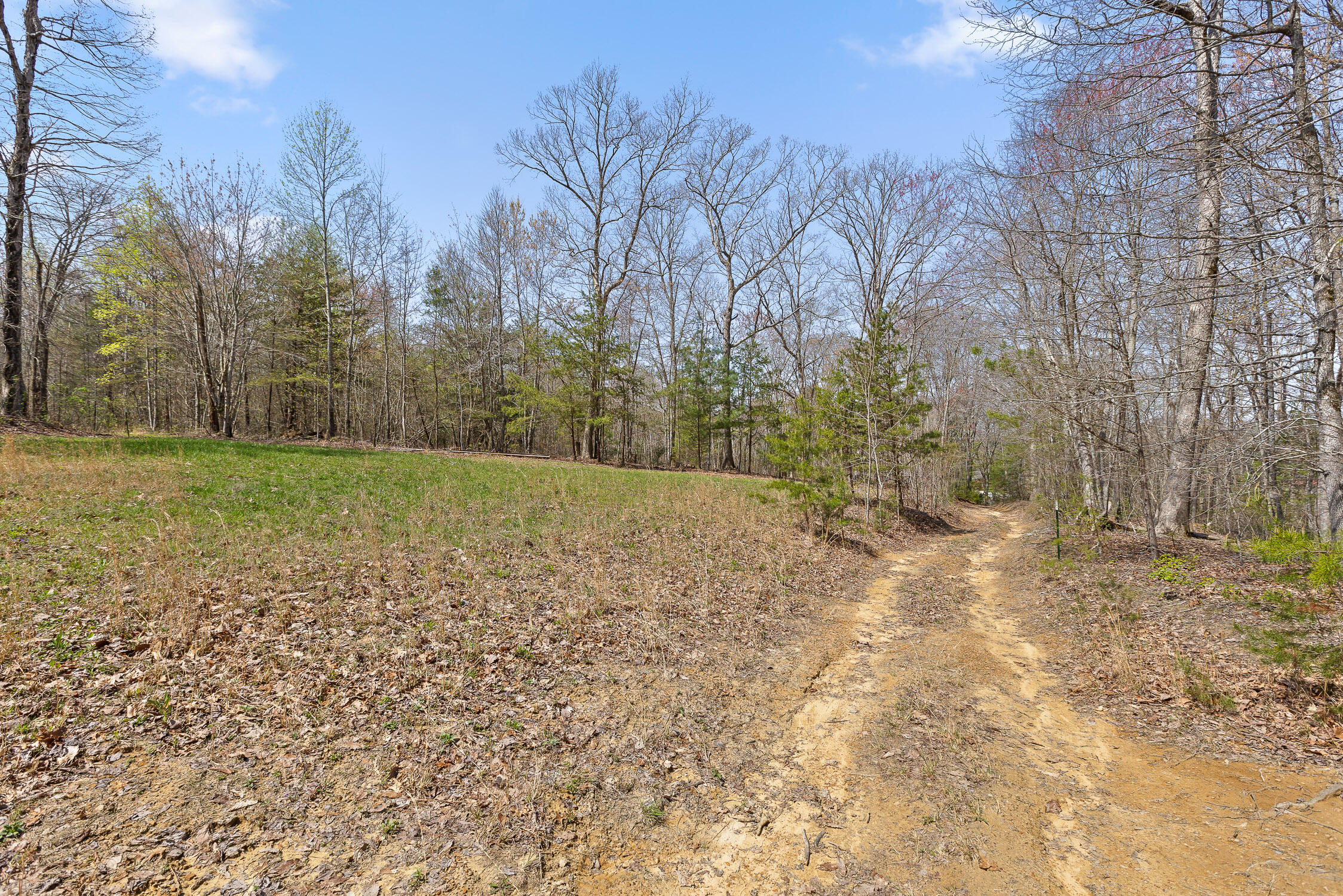 10 Acres Blaine Smith Road Graysville, TN 37338 - Photo 40 of 55 25-Blain-24