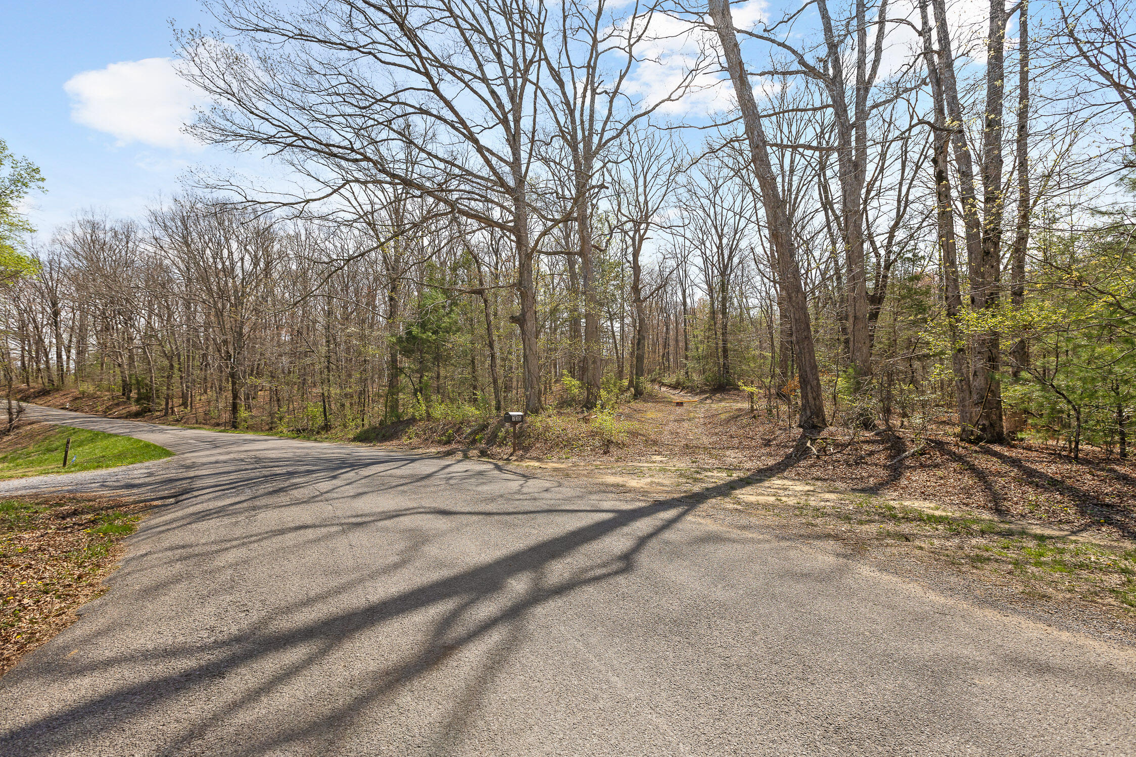 10 Acres Blaine Smith Road Graysville, TN 37338 - Photo 42 of 55 27-Blain-26