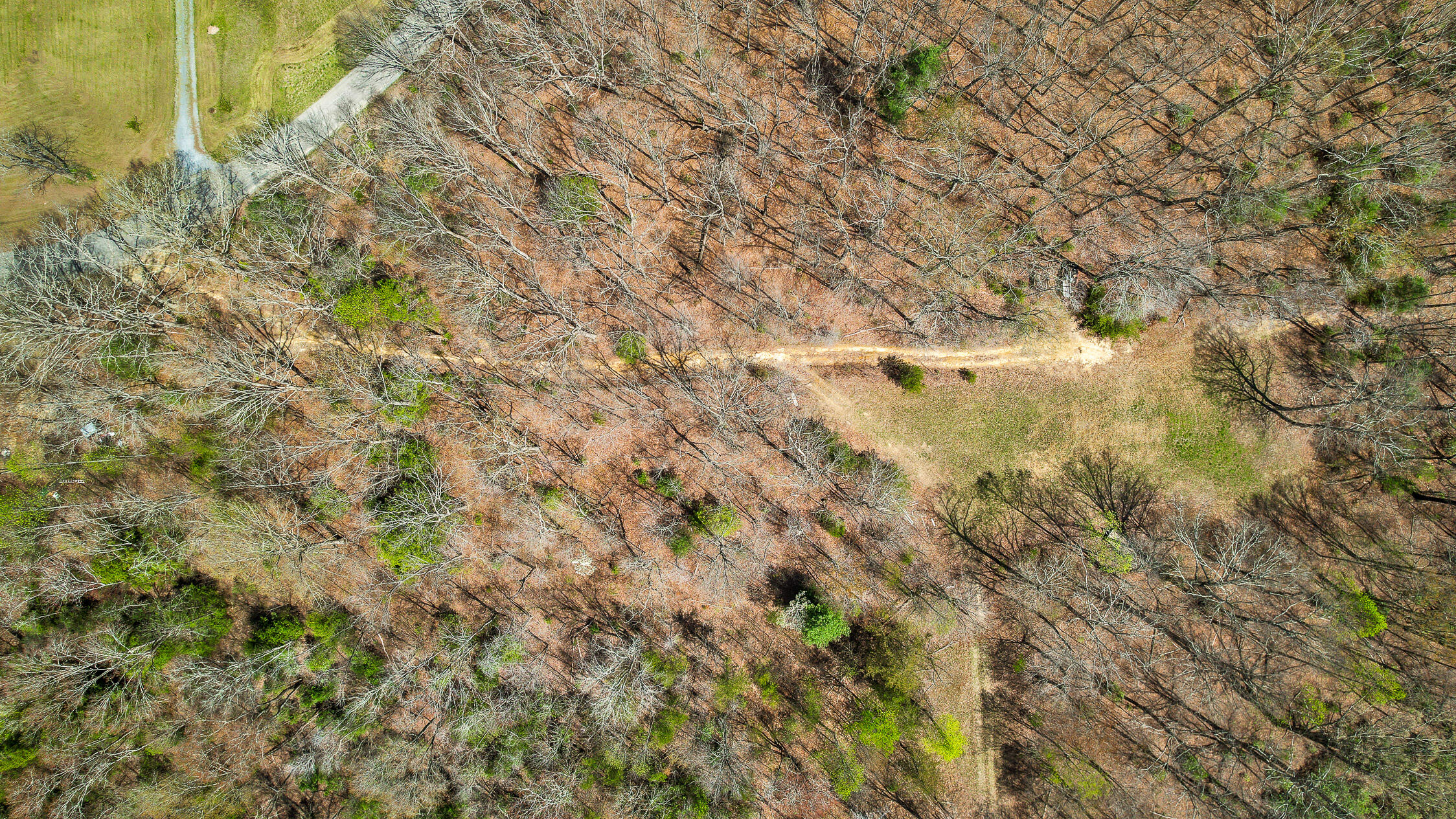 10 Acres Blaine Smith Road Graysville, TN 37338 - Photo 54 of 55 39-Blain-38