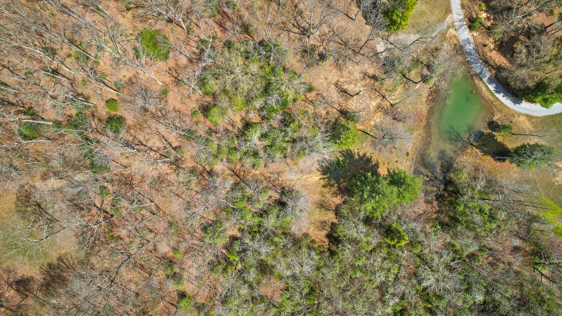 10 Acres Blaine Smith Road Graysville, TN 37338 - Photo 55 of 55 40-Blain-39