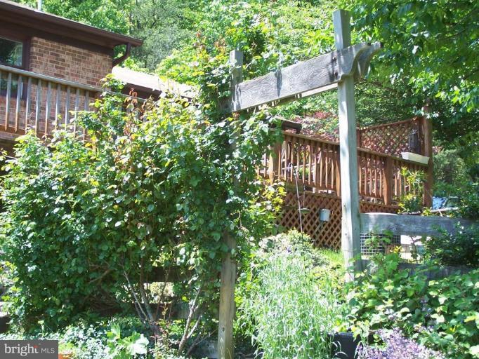6062 Snow Mountain Road Broad Run, VA 20137 - Photo 12 of 28 Rear gardens