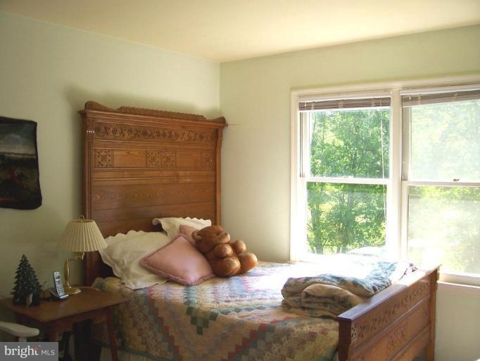 6062 Snow Mountain Road Broad Run, VA 20137 - Photo 13 of 28 Middle Bedroom