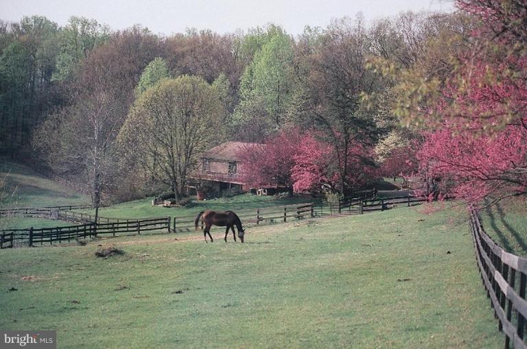 6062 Snow Mountain Road Broad Run, VA 20137 - Photo 20 of 28 View of house