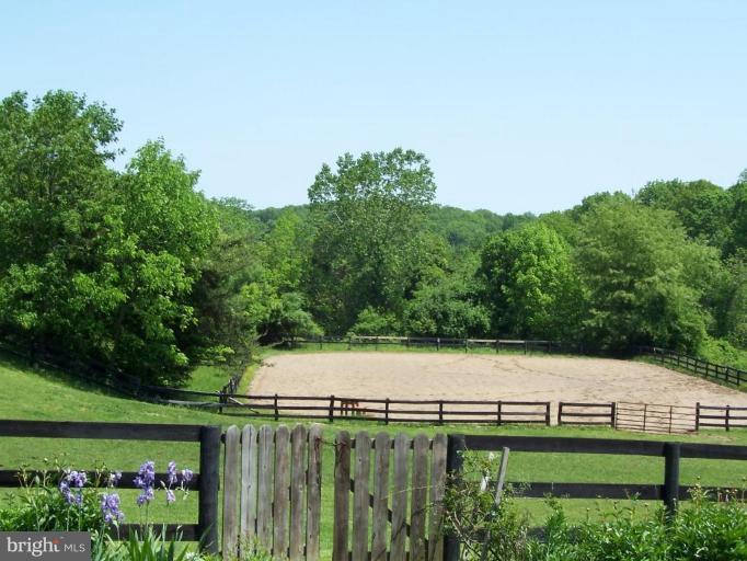 Arena