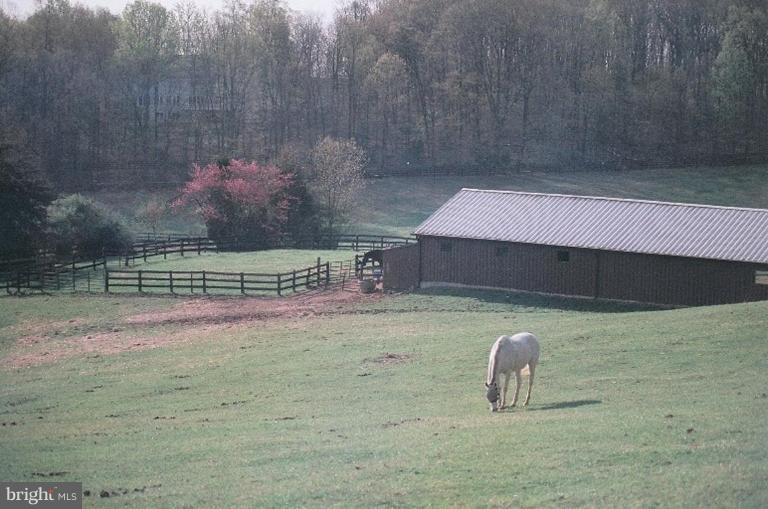 6062 Snow Mountain Road Broad Run, VA 20137 - Photo 21 of 28 View from Rear Pasture