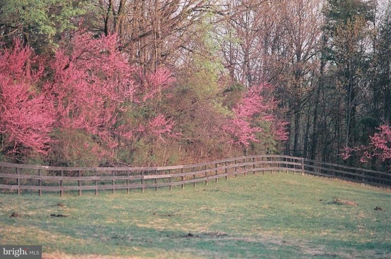 6062 Snow Mountain Road Broad Run, VA 20137 - Photo 26 of 28 Rear pasture