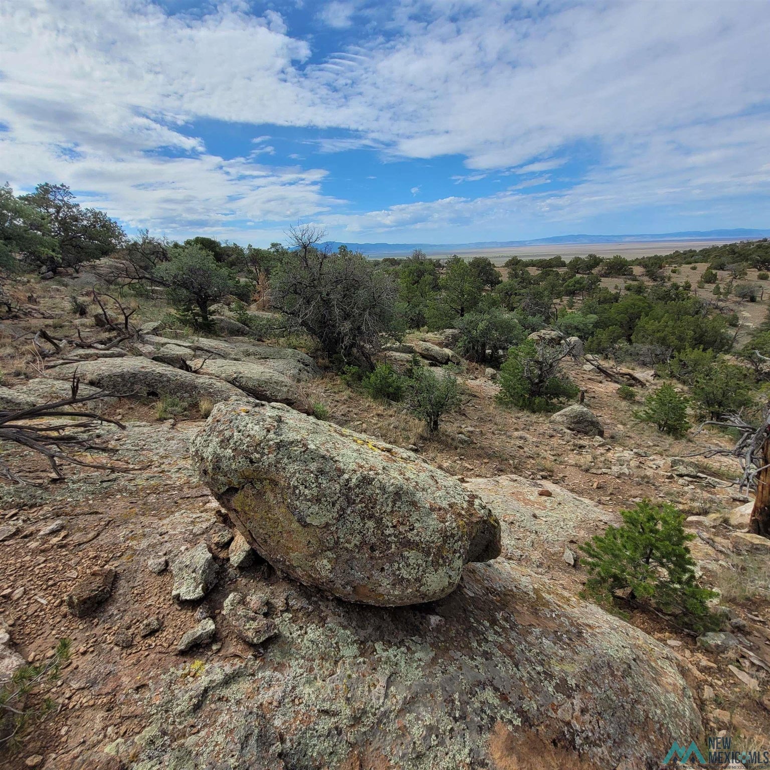 0 Lookout Loop, Unit 89 Datil, NM 87821 - Photo 33 of 38 Gallery Image 33