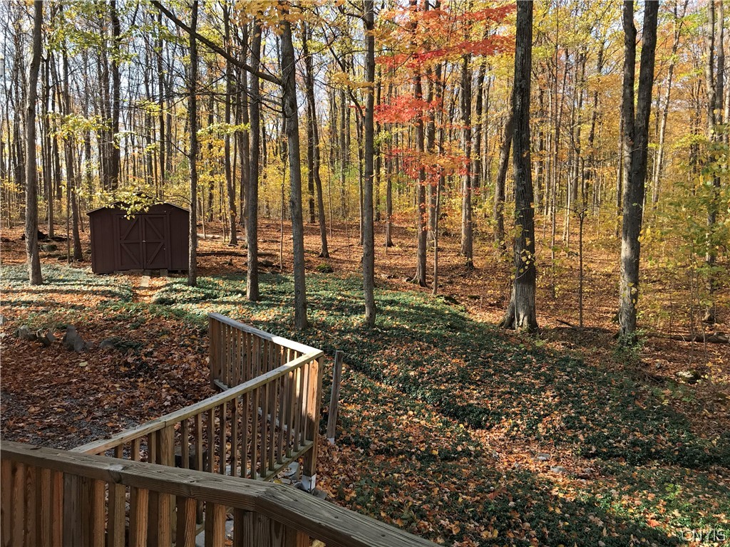 1981 Shepard Road Marcellus, NY 13108 - Photo 8 of 46