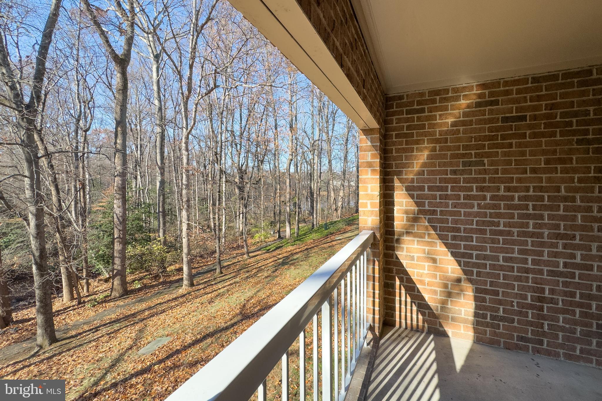 5902 Cove Landing Road, Unit 202 Burke, VA 22015 - Photo 24 of 52 a view of balcony with wooden floor