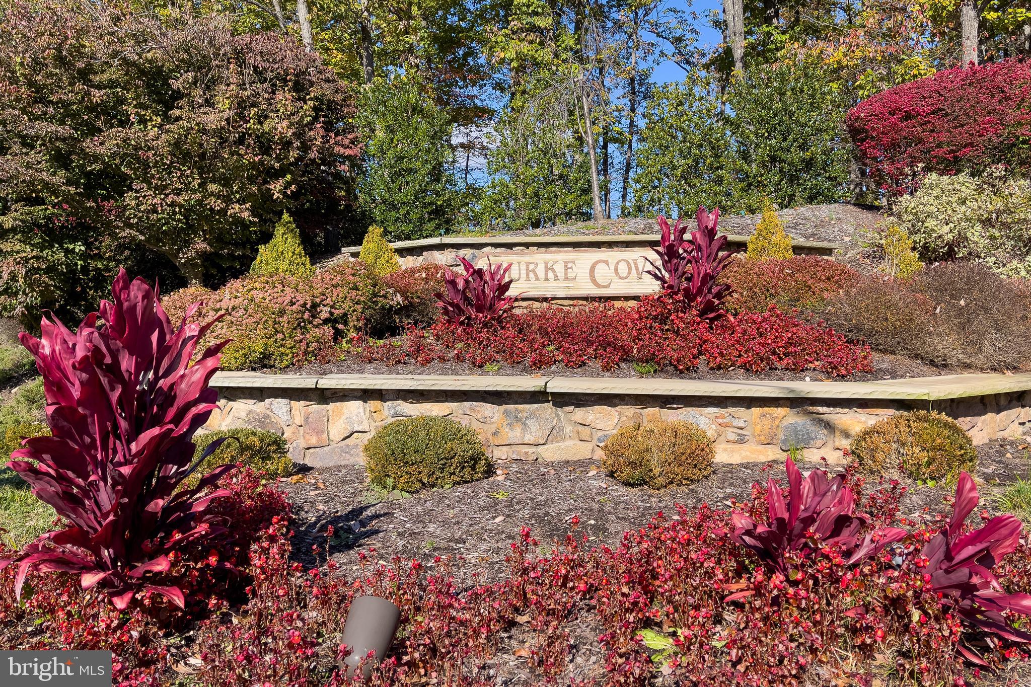 5902 Cove Landing Road, Unit 202 Burke, VA 22015 - Photo 51 of 52 a view of a lake with a tree
