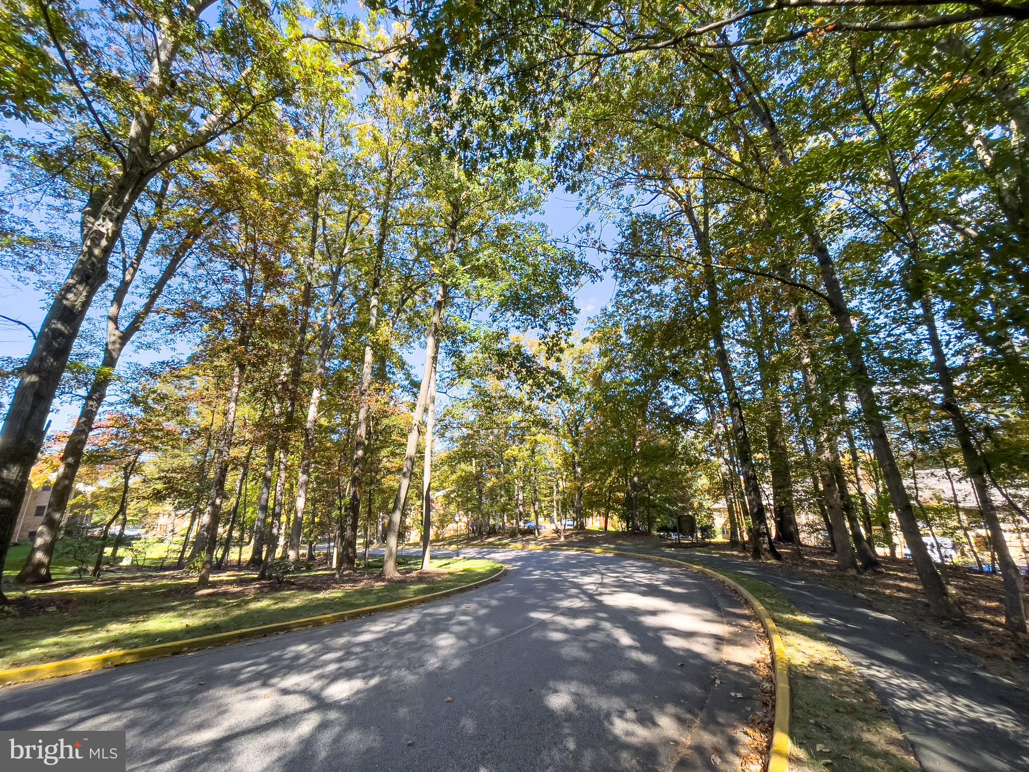 5902 Cove Landing Road, Unit 202 Burke, VA 22015 - Photo 52 of 52 a view of a yard with a tree