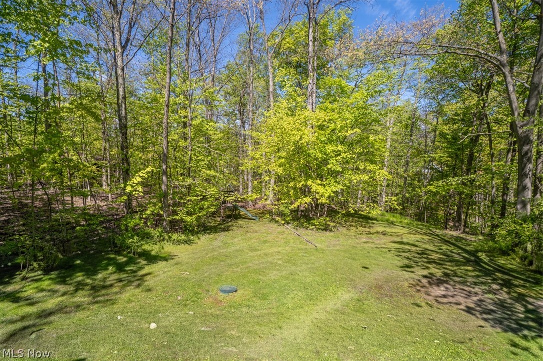 3812 Ellendale Road Moreland Hills, OH 44022 - Photo 46 of 46
