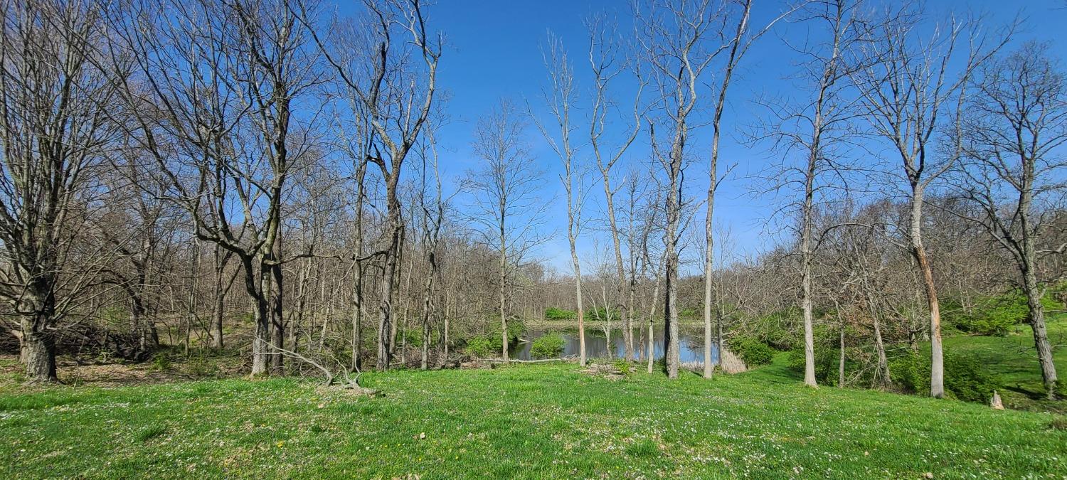 21585 State Line Road Lawrenceburg, IN 47025 - Photo 4 of 27