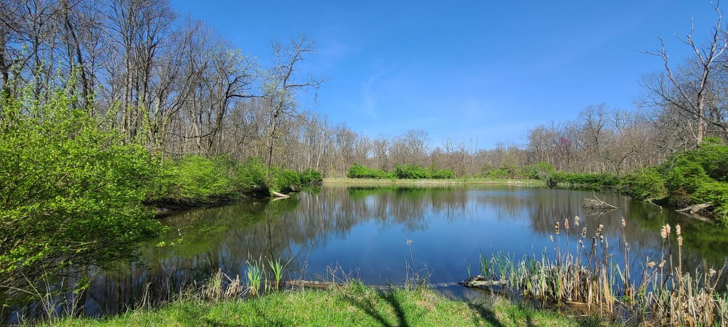 21585 State Line Road Lawrenceburg, IN 47025 - Photo 5 of 27