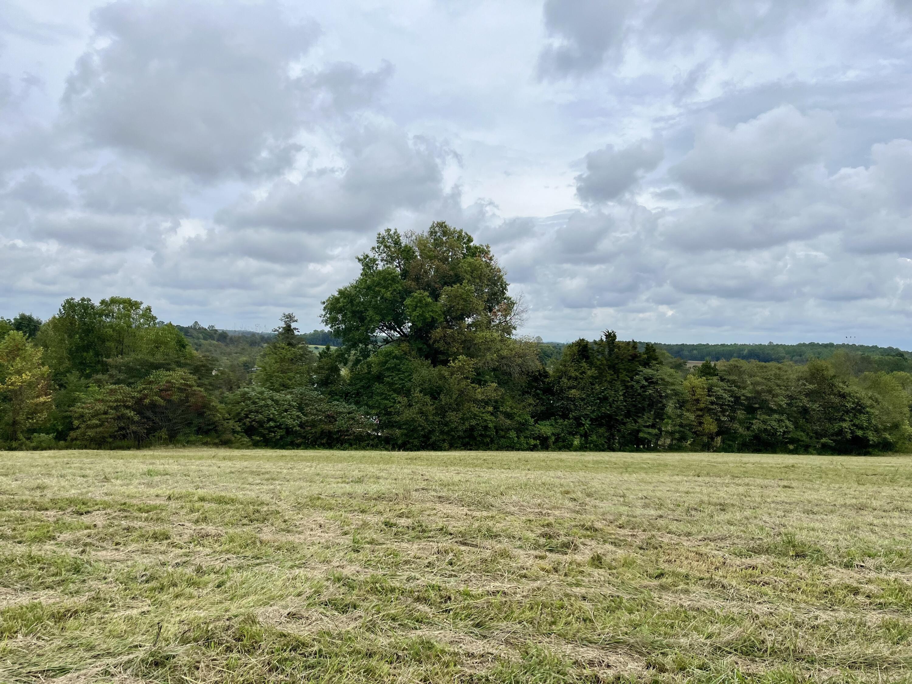 Lot 5 Smith Ridge Road Eubank, KY 42567 - Photo 20 of 24 IMG_4433 2