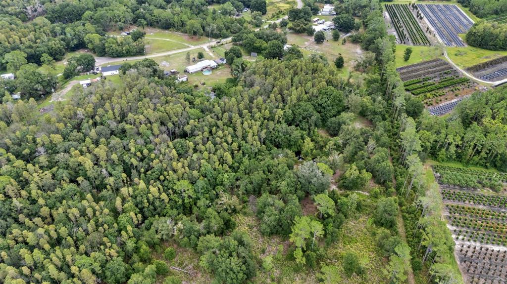 2730 Ranchland Acres Road Lakeland, FL 33809 - Photo 72 of 73