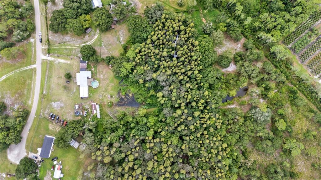 2730 Ranchland Acres Road Lakeland, FL 33809 - Photo 73 of 73