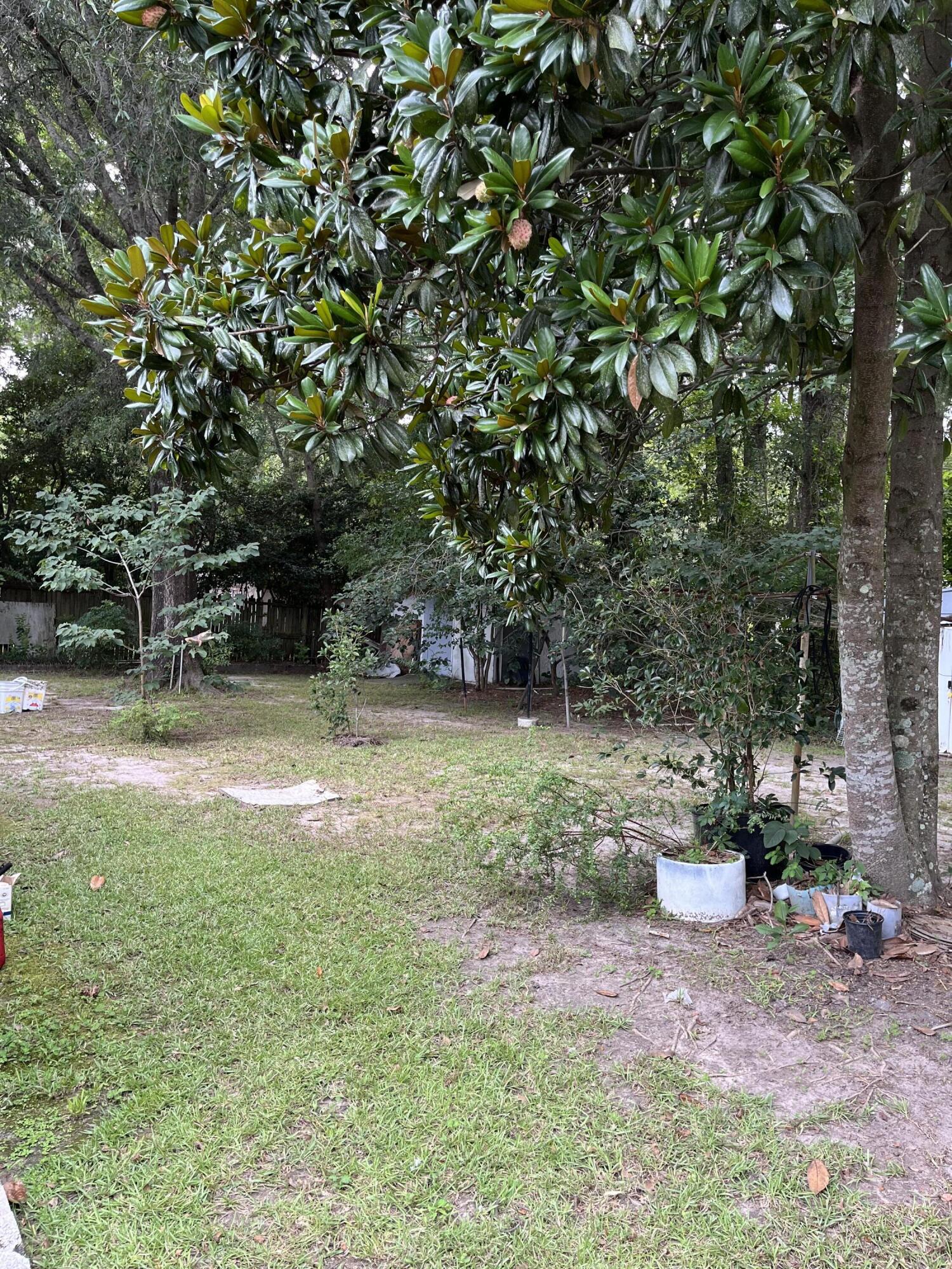 8556 Delhi Road North Charleston, SC 29406 - Photo 6 of 16 IMG_7529