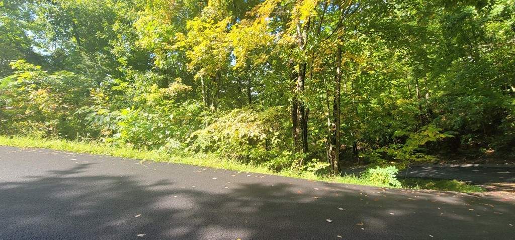 1 Smokies Edge Road Sevierville, TN 37862 - Photo 10 of 22