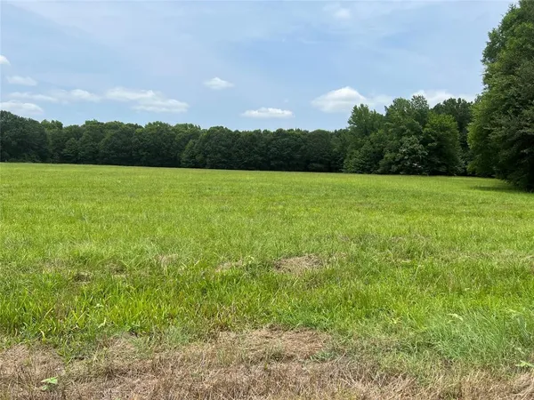 a view of a field of grass and trees