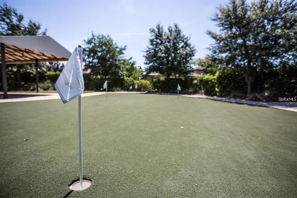 5646 Sunset Falls Drive Apollo Beach, FL 33572 - Photo 85 of 91