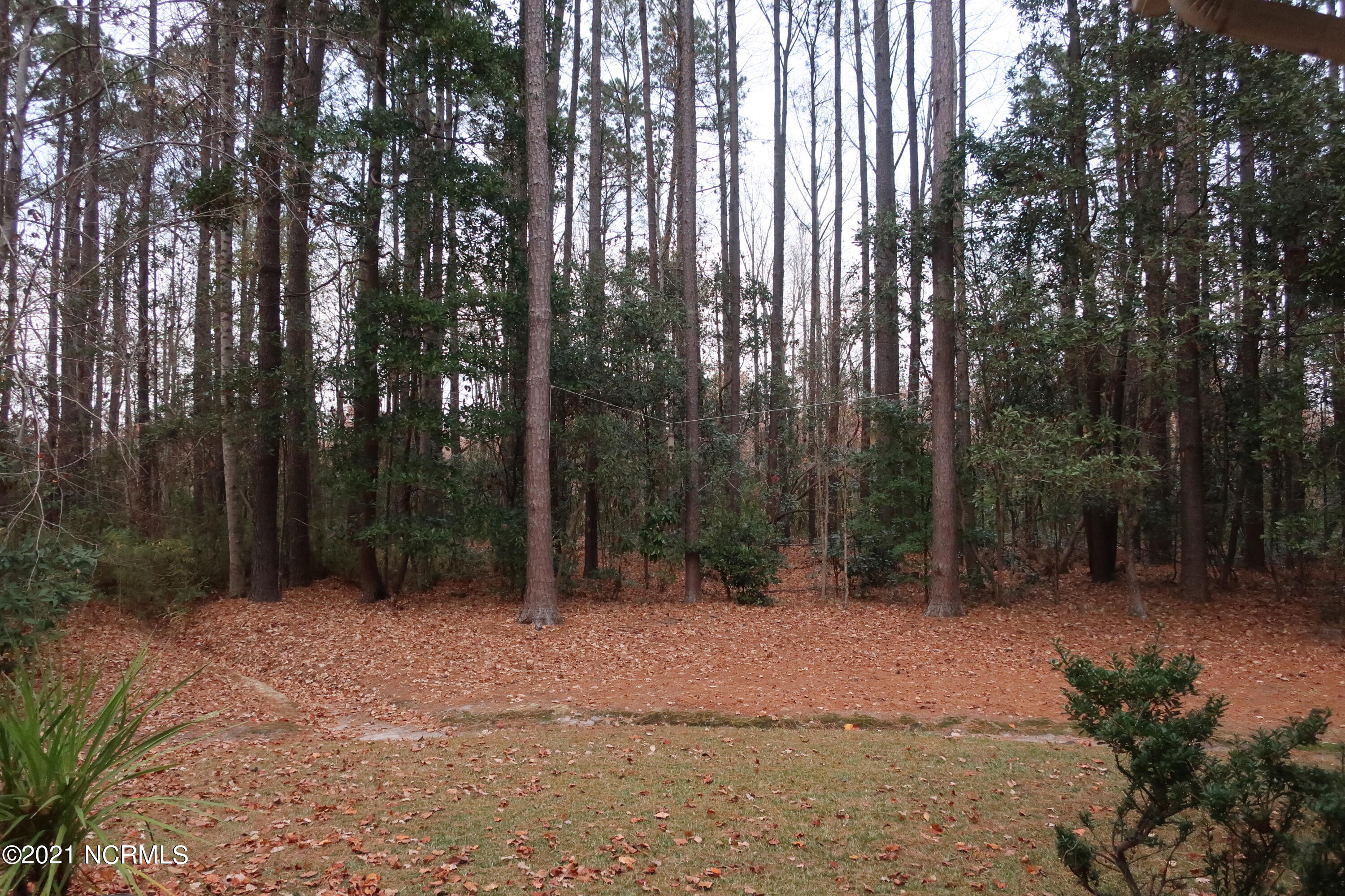 206 Channel Run Washington, NC 27889 - Photo 29 of 29 029 back yard