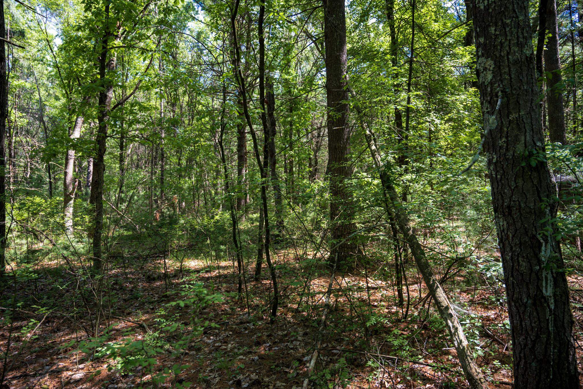 Lot 132 19th Arkdale, WI 54613 - Photo 17 of 27